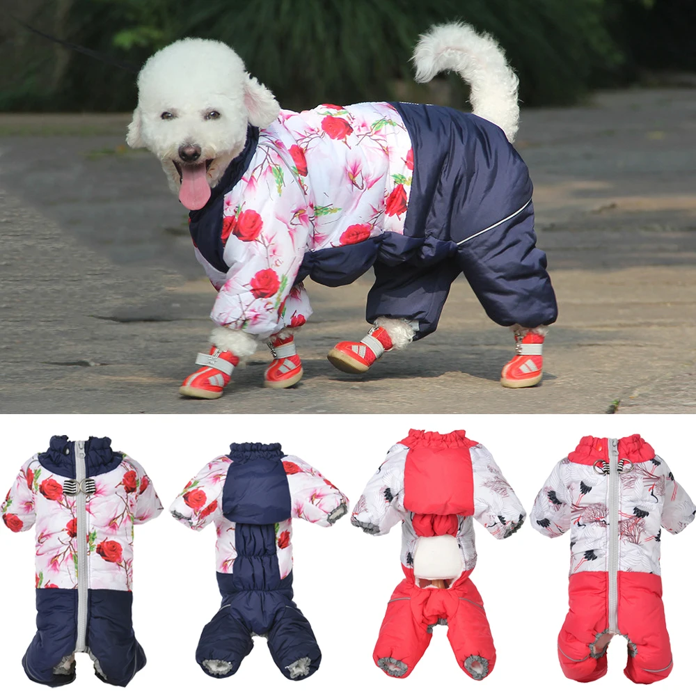 Winterkleding voor huisdieren  - Winter Clothing For Boys recensie en prijs