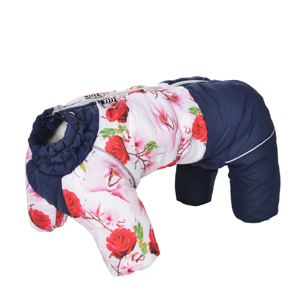 Winterkleding voor huisdieren  - Winter Clothing For Boys recensie en prijs